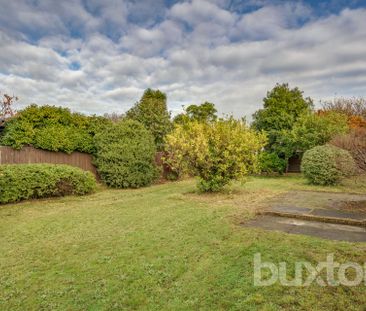 3 Windsor Avenue, Oakleigh South VIC 3167 - House For Rent | Domain - Photo 3