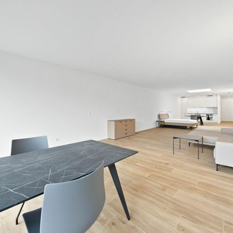 Furnished loft studio of 87 m² on the 1st floor - Photo 1