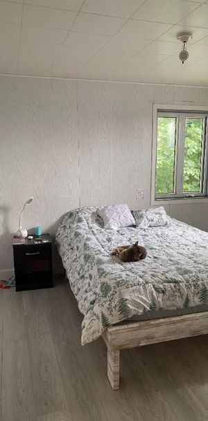 Logement 3 1/2 disponible juillet 2026 - Photo 1