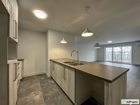 1450, rue Lionel-Giroux, Drummondville (Drummondville) à louer - Photo 5