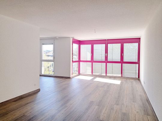 HALDIMAND 41, 3.5-room apartment in the city center - Foto 1