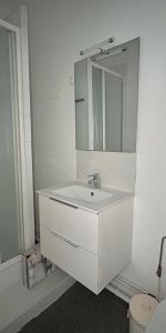 Location Appartement 2 pièces 23m² ANGERS 49100 - Photo 4