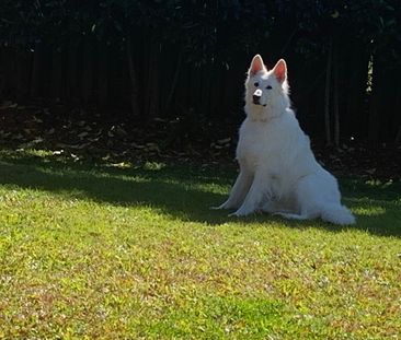 Mudgeeraba - Photo 2