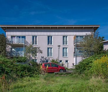 Demnächst frei! 3-Zimmer-Wohnung in Herten Disteln - Foto 2