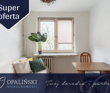 Mieszkanie na wynajem| 3 pokoje | drugie piętro - Zdjęcie 6