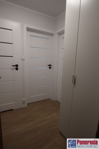 Jasne Błonia - Zdjęcie 5