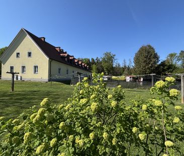 Ruhige 1-Zimmer-Wohnung - Photo 4