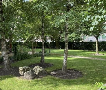 SPECIAL HOLIDAY OFFER!! 4-room furnished apartment in Carouge (Geneva) - Photo 6