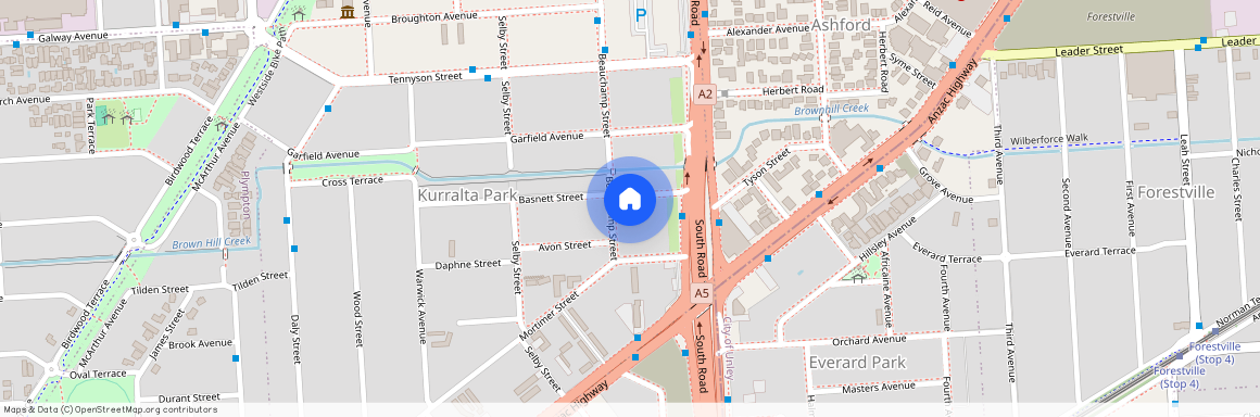 8 Basnett Street, SA 5037, Kurralta Park