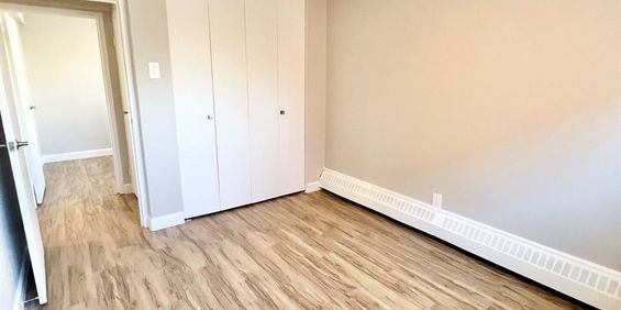 2 CH - 1 SDB - Montréal - $1,575 /mo - Photo 3