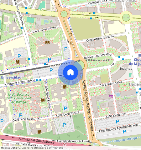 Boulevard Louis Pasteur 23, Malaga