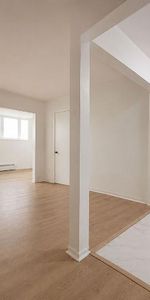 1 CH - 1 SDB - Montréal - $1,250 /mo - Photo 3