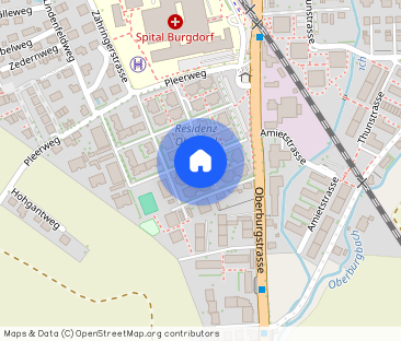 Traumhafte 2 1/2-Zimmerwohnung im Erdgeschoss - Photo 1