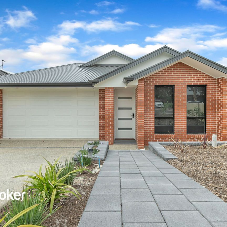 45 Reece Avenue, KLEMZIG - Photo 1