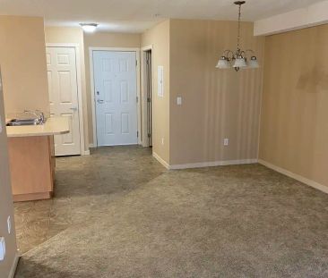 Marshall Grove East Apartments — 1 Bedroom - Photo 4