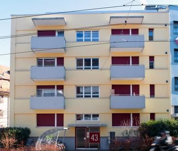 2 Zimmer, 41 m², 2. Stock - Photo 5