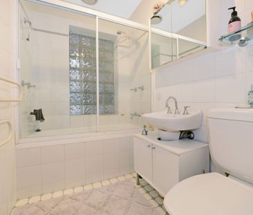 Private and Leafy Lower Duplex in Quiet Street - Photo 2