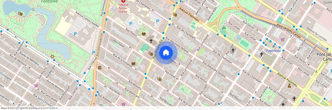 1255 Rue Plessis, Ville-Marie, Ville-Marie, Ile de Montréal, H2L 2J1