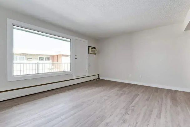 1 Bedroom - Photo 1