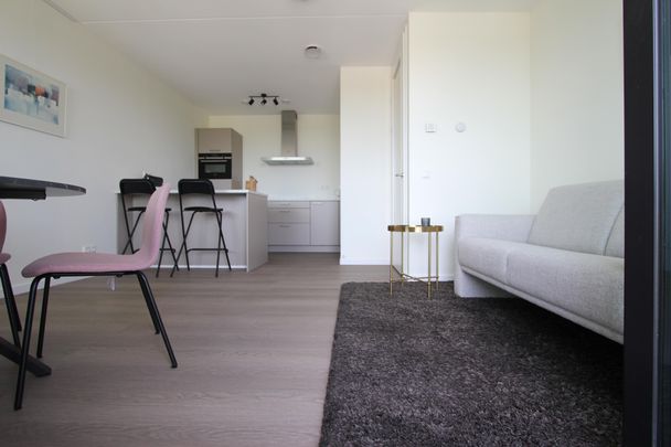 Dijkmeerlaan, 477, 1096DE, Amsterdam - Foto 1