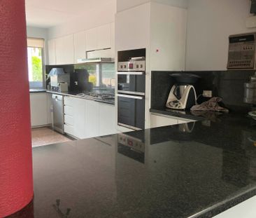 Mount Pleasant - Photo 2