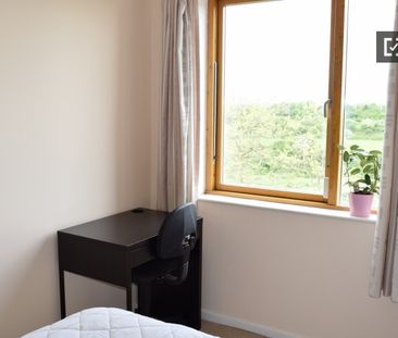 Decorated room in 3-bedroom apartment in Dublin - Photo 2