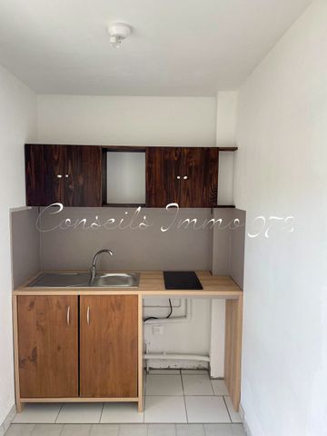 Location Appartement 1 pièce 19m² FORT DE FRANCE 97200 - Photo 3