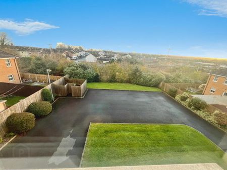 39 Mornington Lane, Lisburn, BT28 2WH - Photo 3