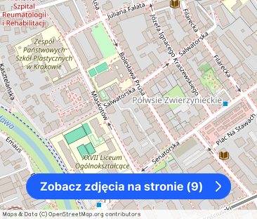 Kraków, Zwierzyniec/Salwator, B. Prusa, mieszkanie, do wynajęcia, 2... – zdjęcie 1