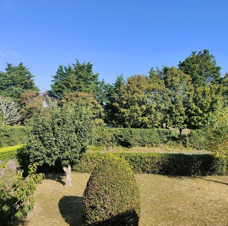 Location Appartement 1 pièce 28m² - Photo 5