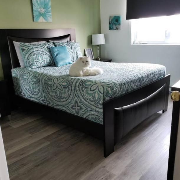 À LOUER – Magnifique 4 ½ très éclairé | 1 500 $/mois - Photo 1