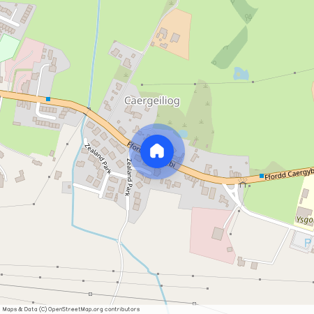 Coedlys, Caergeiliog