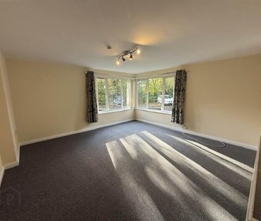 Apt 3, 1 St Annes Lane, Belfast, BT10 0PP - Photo 3
