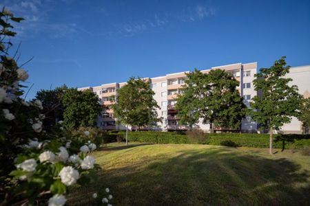 Familienfreundliche 4-Zimmerwohnung in Halle-Neustadt - Foto 3