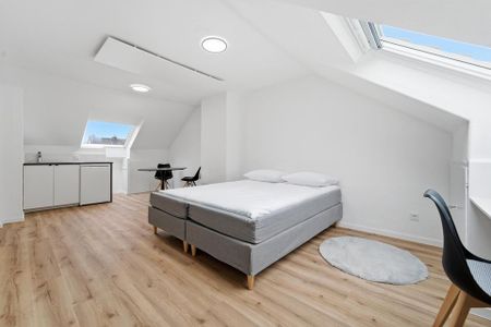 Fully furnished Studio + Garage + Balcony - Photo 3