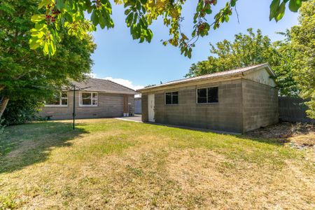 AVAILABLE IMMEDIATELY - Photo 3