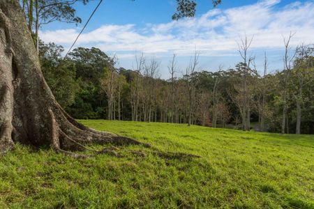 Rural Living with Ocean Views - Photo 4