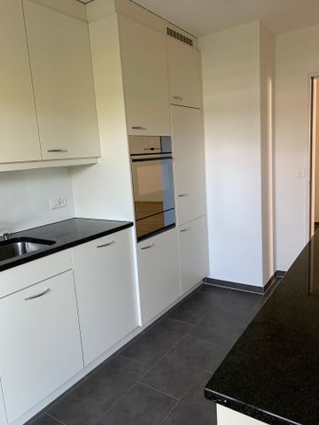 3 Zi.-Wohnung mit grosser Terrasse, stadtnah und ruhig - Photo 4