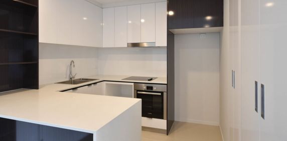 Spacious Living, Gourmet Kitchen AND Roof Deck entertainment area - Photo 2