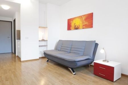 Furnished apartment - Photo 5