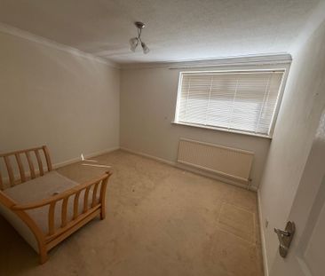 Westland Road - Photo 2