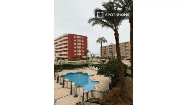 Sueca - Photo 1