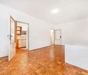 Pronájem slunného 2+1 v širším centru s krásným výhledem - Photo 6