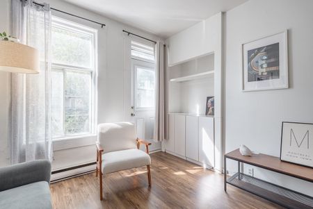 Appartement à louer - Montréal (Ville-Marie) (Centre) - Photo 2