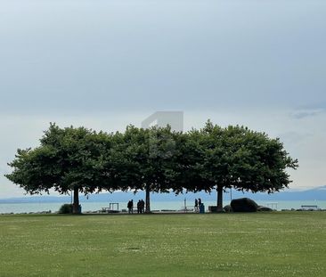 RENOVIERT MIT MODERNER KÜCHE - Photo 1