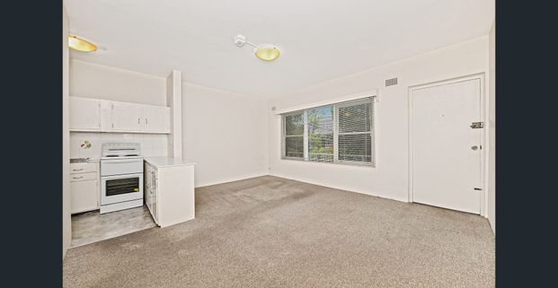 Low-Maintenance Living in the Heart of Ashfield - Photo 1