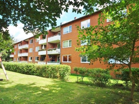 Ihr neues Zuhause in Klein Pampau! Schicke renovierte 4,0-Zimmer-Wohnung mit Balkon! - Foto 1