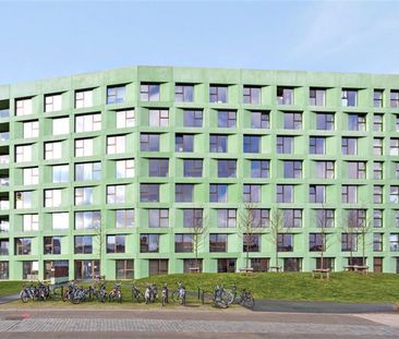 Studentenkamer op toplocatie! - Photo 3