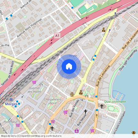 1110, Morges, Rue Docteur Yersin, 13