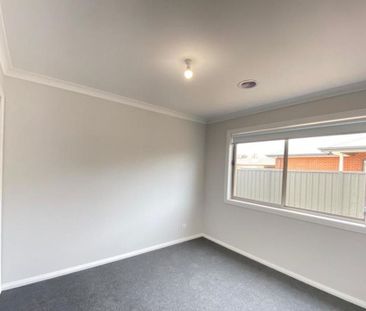 Family Living in Jackass Flat! - Photo 5